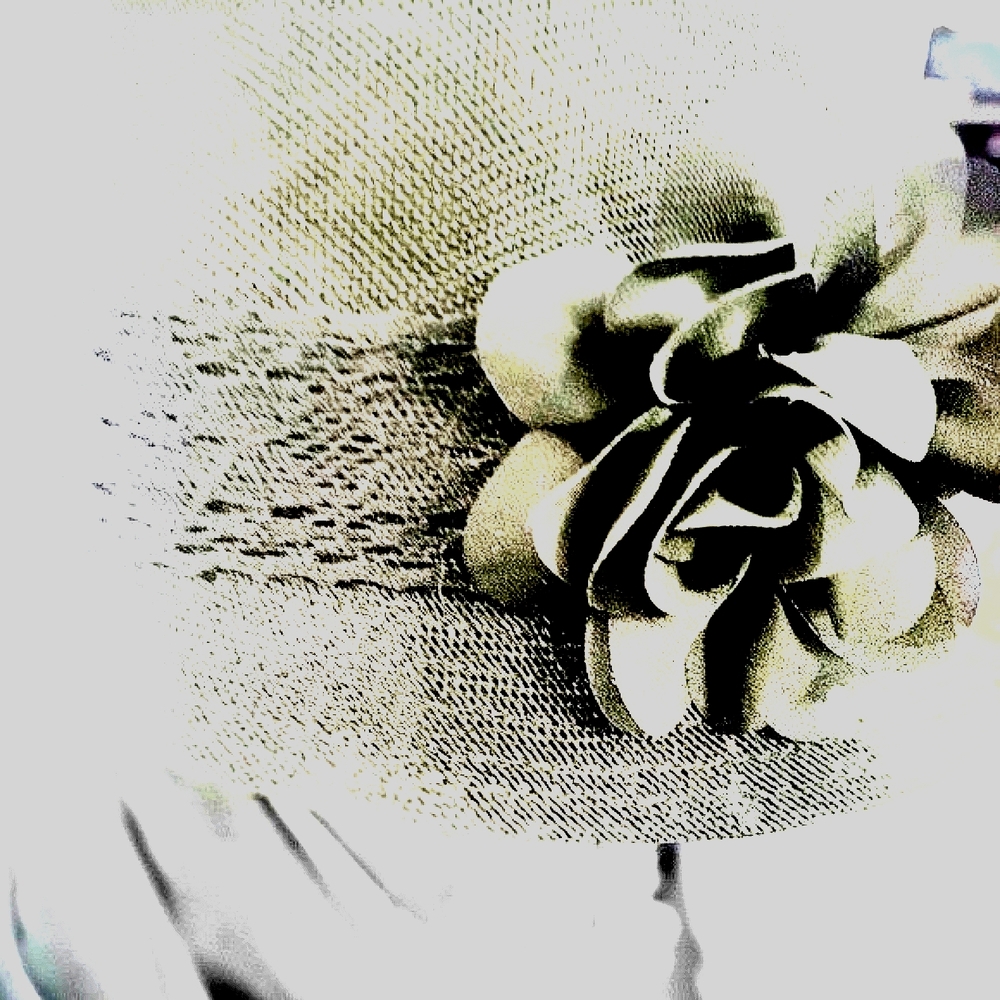 🖤 Classoc 🖤 - Picture 10 of 10